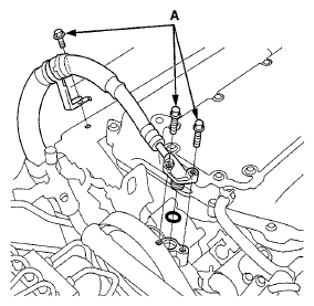 G06423242