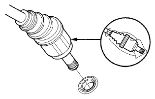 G06423266