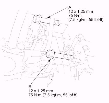 G06423281