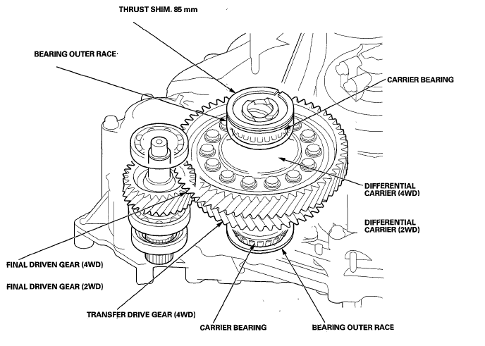 G06423558