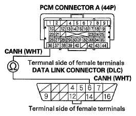 G06429343