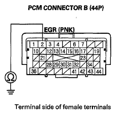 G06429594