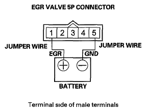 G06429597