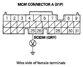 G06429925
