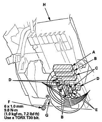 G06431081