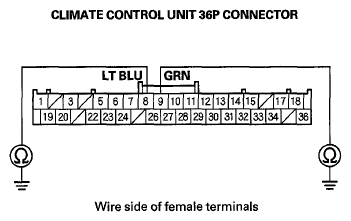 G06431316