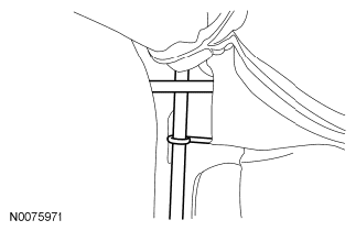G06437773