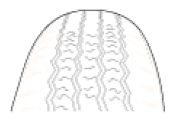 G06495389