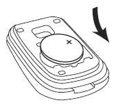 G06742555