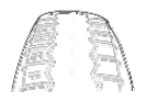 G06857282