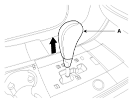 G06858146