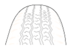 G07311789
