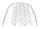 G07311790