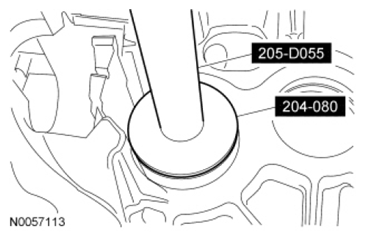 G07489036