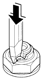 G08066906