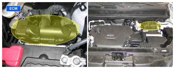 G08333356