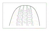 G08834485