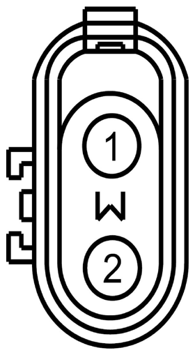 G09083791