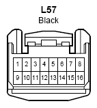 G09100569