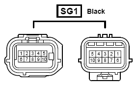 G09124313