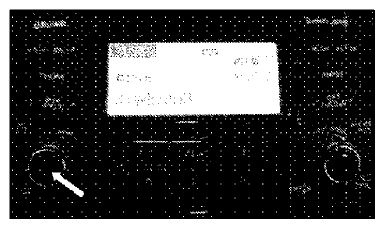 G09257029