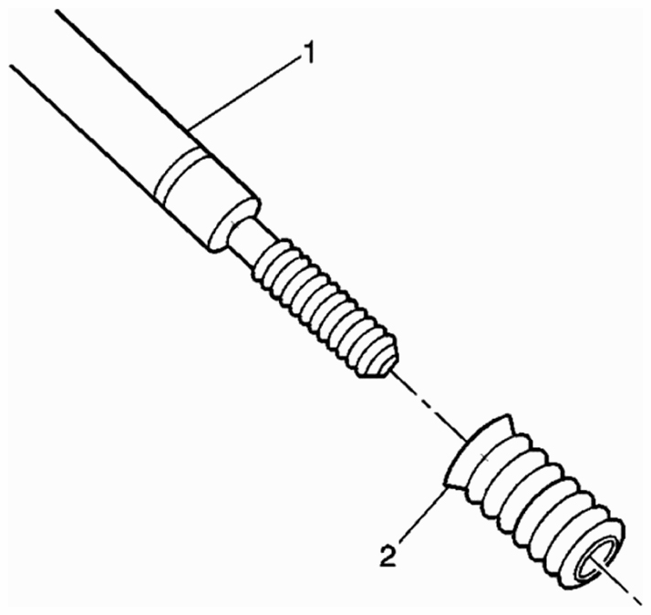 G09401244