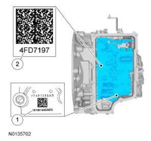 G09532981