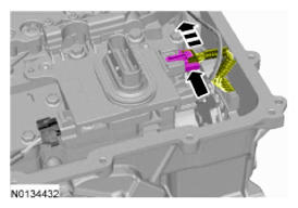 G09571550