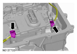 G09571810