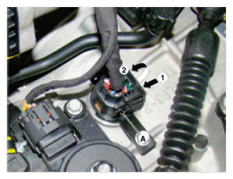 G09764616