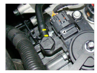 G09765502