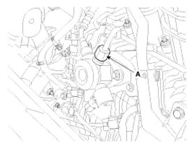 G09789496