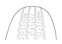 G09789784