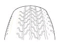 G09789785