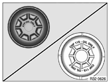 G09849231