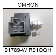 G09946587