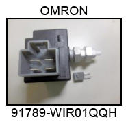 G09946599