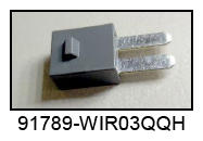 G09946603