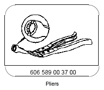 G09974454