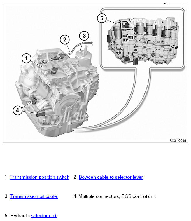 G10006538