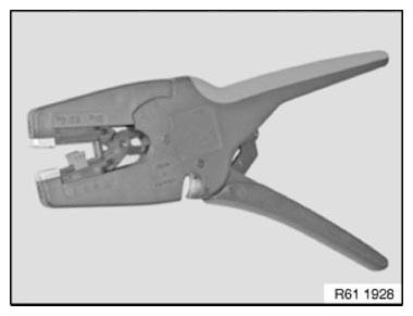 G10064099
