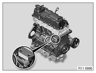 G10144612