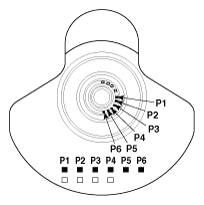 G10574523