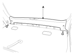 G10650496