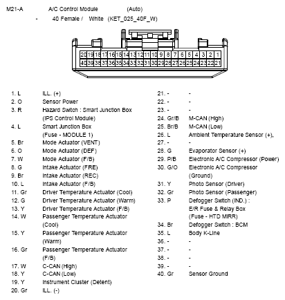 G10809949
