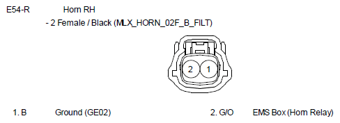 G10810063