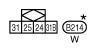 G10847524