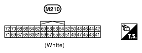 G10852623