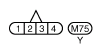 G10852901