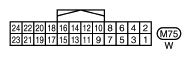 G10855856